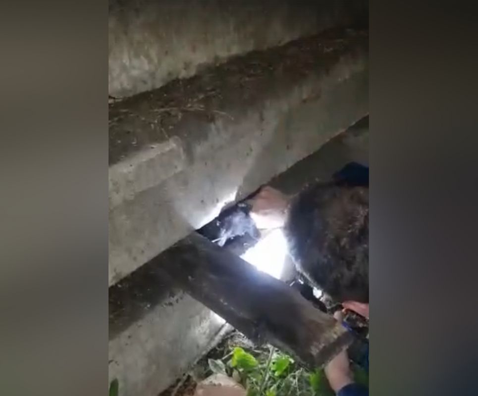 2. Установите режим и рутину