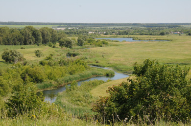 Прогноз погоды в Воронеже на вторник, 23 августа