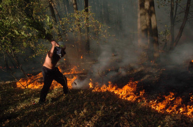 Самый высокий уровень пожарной опасности введут на юге Воронежской области