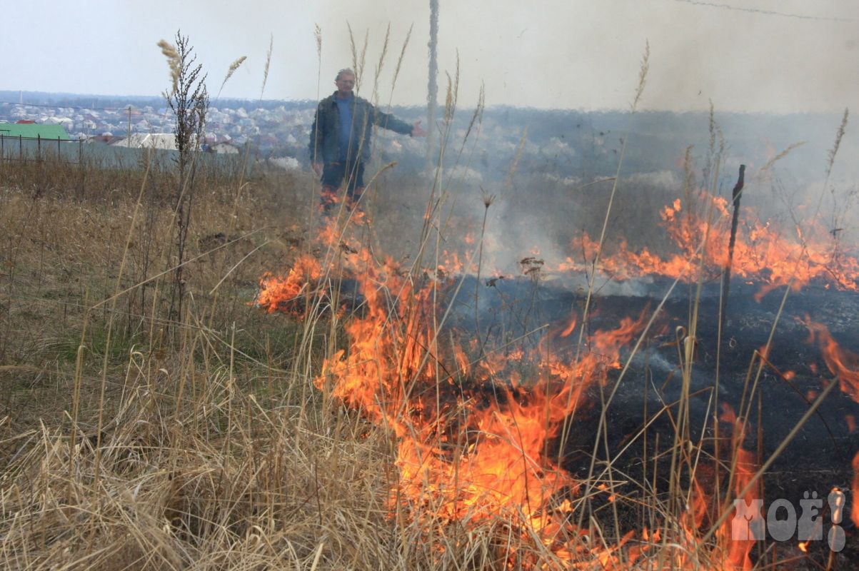 Количество районов с чрезвычайным уровнем пожарной опасности выросло в Воронежской области