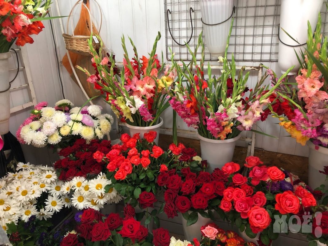 ораниенбаум схема дворца. в каждой комнате дворца стояли букеты. в каждой комнате дворца стояли букеты. в каждой комнате дворца стояли букеты цветов. президентский дворец (тайбэй).