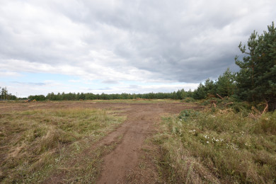 Прогноз погоды в Воронеже на субботу, 10 сентября