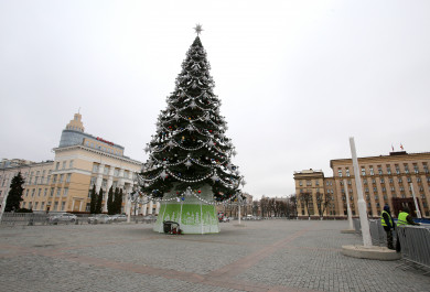 На площади Ленина установят новую новогоднюю ёлку за 15 млн рублей