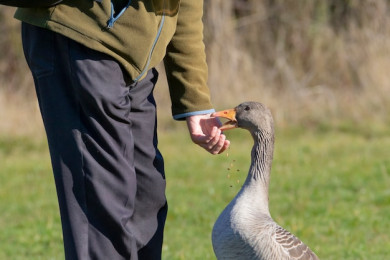 28 сентября: Никита Гусятник. Что можно и чего категорически нельзя сегодня делать
