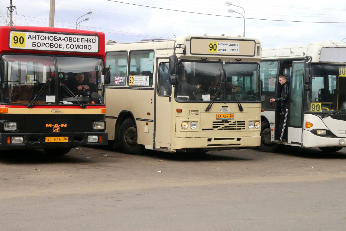 Стало известно, на&nbsp;автобусы каких марок воронежские власти потратят почти 1,5 млрд рублей