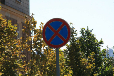 Улицы в центре Воронежа перекроют из-за матча «Факела»