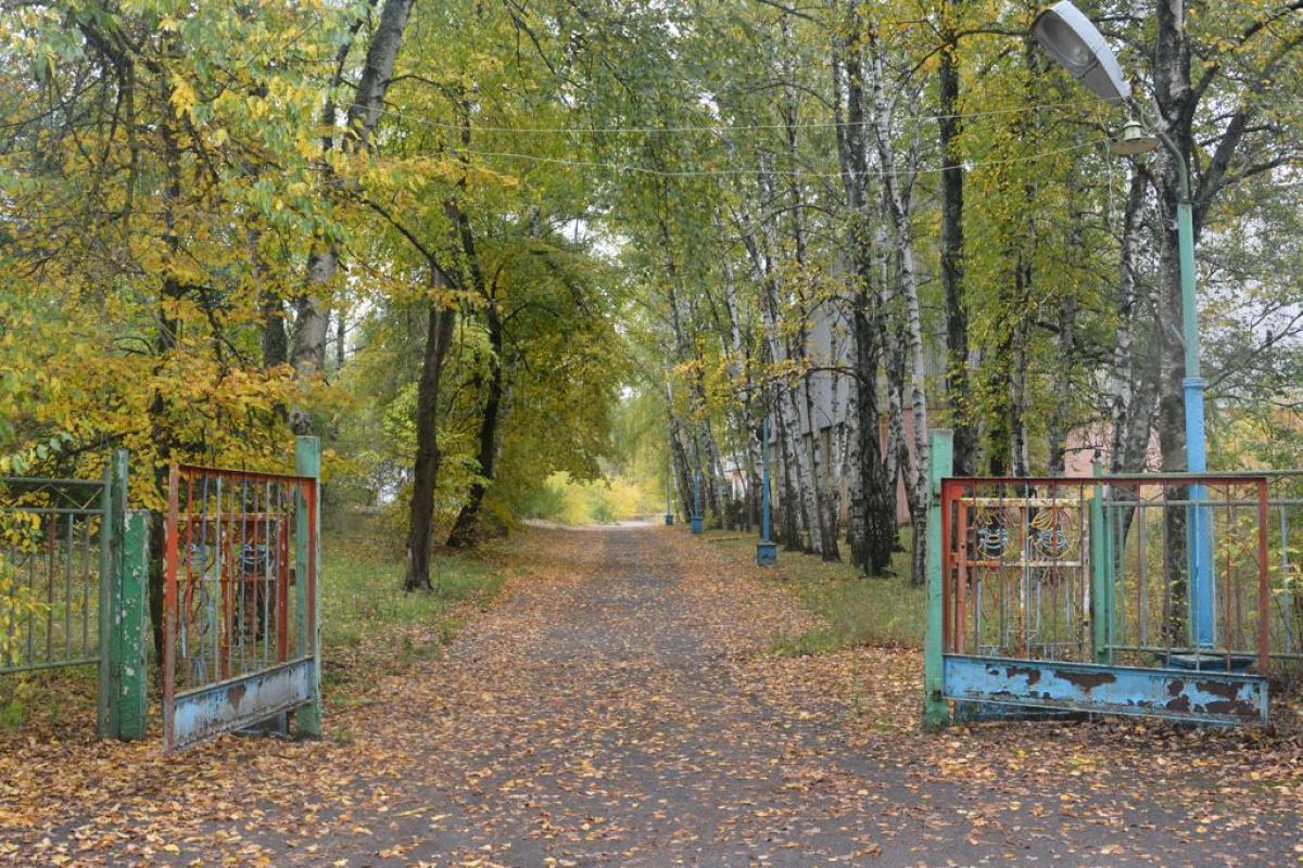 Депутаты Воронежской Гордумы предлагают восстановить два лагеря и создать в них спортивный кластер