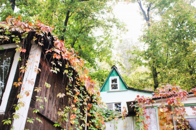 На выходных в Воронеже потеплеет до +18 градусов