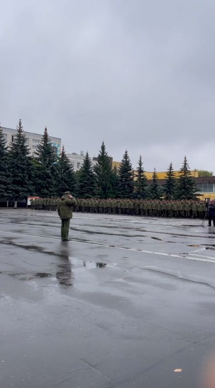 Два полка мобилизованных и&nbsp;добровольцев отправят из&nbsp;Воронежской области