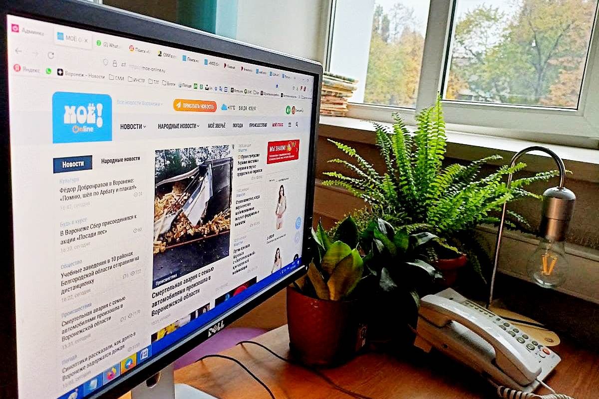 Портал «МОЁ! Online» вошёл в&nbsp;тридцатку самых цитируемых СМИ в России