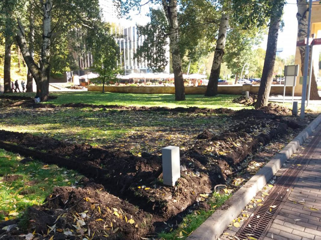 Мэр Воронежа сообщил об обновлении Центрального парка