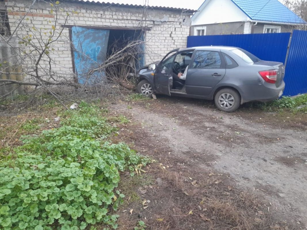 Под Воронежем водитель «Лады» снёс забор и&nbsp;дерево, а&nbsp;затем врезался в&nbsp;гараж