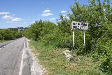 Под Воронежем будут судить мать восьмерых детей, бросившую новорождённого сына в лесу