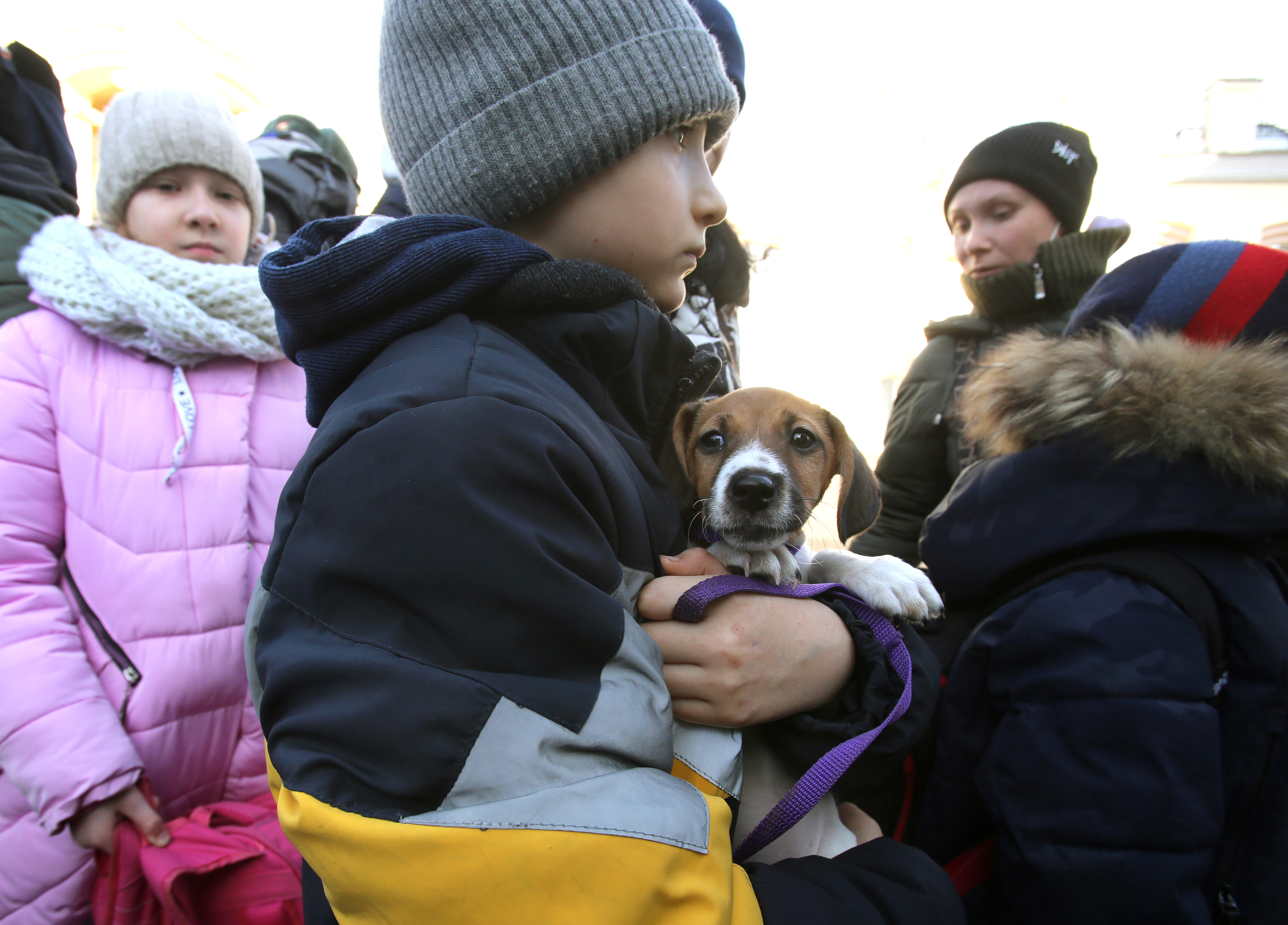 Поезд с беженцами из Донбасса прибыл в Воронеж