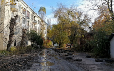 «Таксисты отказываются ехать». Двор воронежского дома превратился в поросячий «диснейленд»