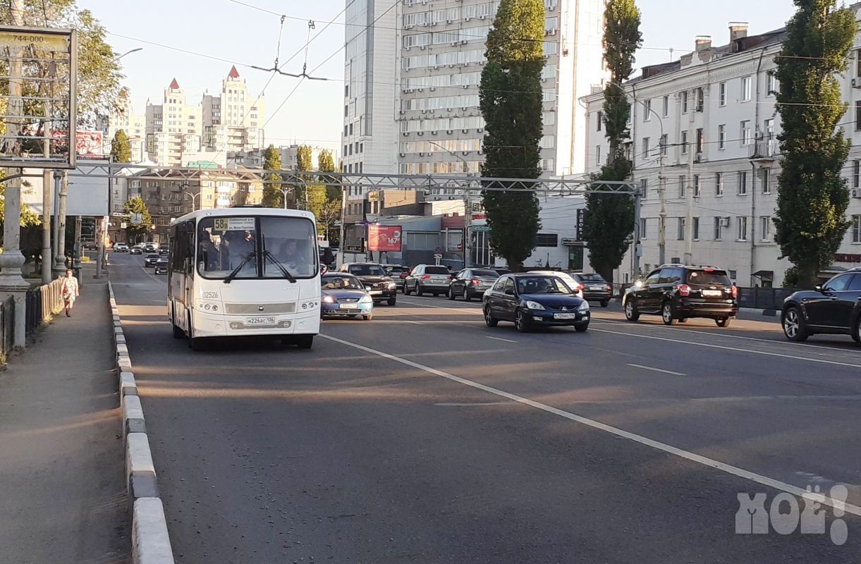 Воронежцев удивили бесплатные поездки на общественном транспорте