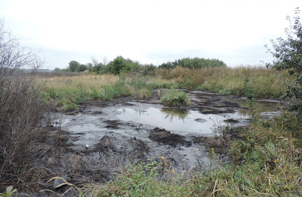 Воронежский завод кормов подозревают в загрязнении нефтепродуктами почвы в трёх районах