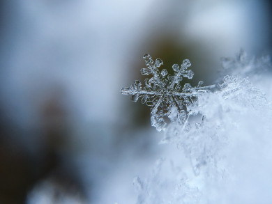 Синоптики рассказали, сколько дней в Воронеже будет идти снег
