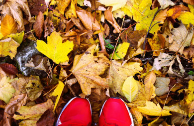 Синоптики рассказали, ждать ли воронежцам сугробов в ноябре