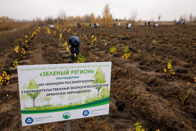 Нововоронежская АЭС стала участником губернаторского климатического проекта «Зеленый регион»