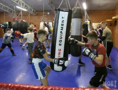 Детей из скандально известной школы бокса в Воронеже распределят по другим секциям