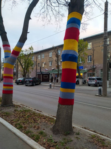 В Воронеже деревья нарядили в разноцветные чехлы 