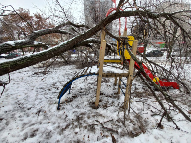 Дерево рухнуло на детскую площадку в Воронеже 