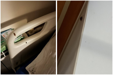 Тараканы заполонили этажи больницы в Воронеже