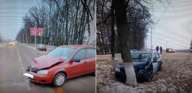 В Воронежской области пенсионерка пострадала в ДТП с врезавшейся в дерево иномаркой 