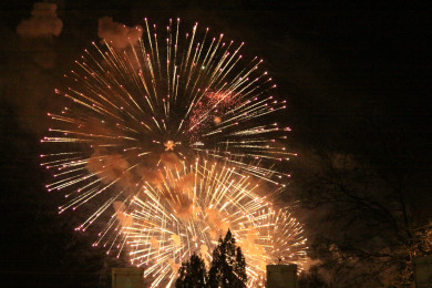Власти рассказали, запретят ли в Воронежской области фейерверки на Новый год