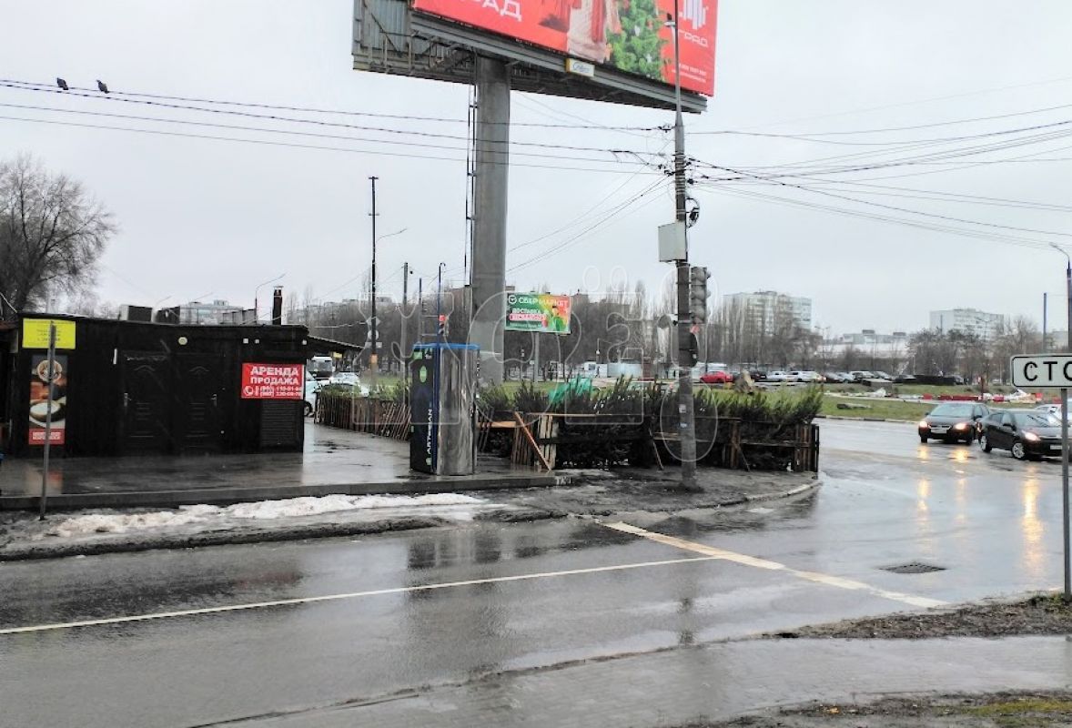 Сколько в&nbsp;Воронеже будут стоить новогодние ёлки в&nbsp;этом году?