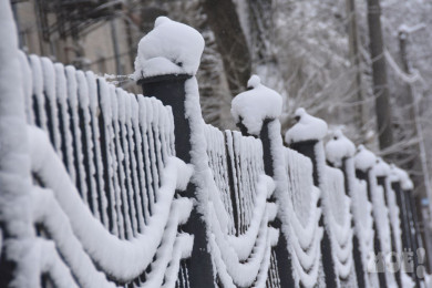 Прогноз погоды в Воронеже на четверг, 15 декабря