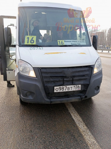 Жену мобилизованного выгнали из маршрутки в Воронеже за попытку проехать бесплатно