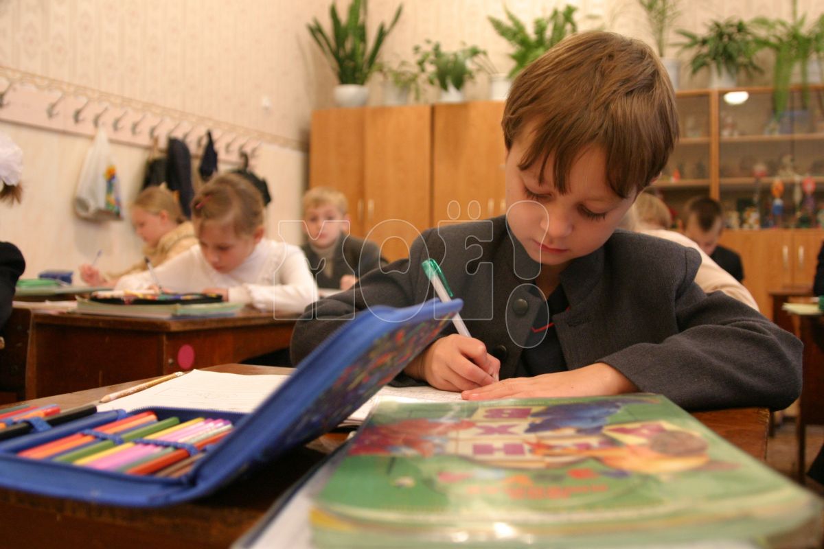 Каникулы в&nbsp;школах Воронежа начнутся досрочно