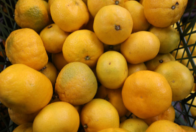 За год стоимость новогоднего стола для воронежцев подорожала на тысячу рублей