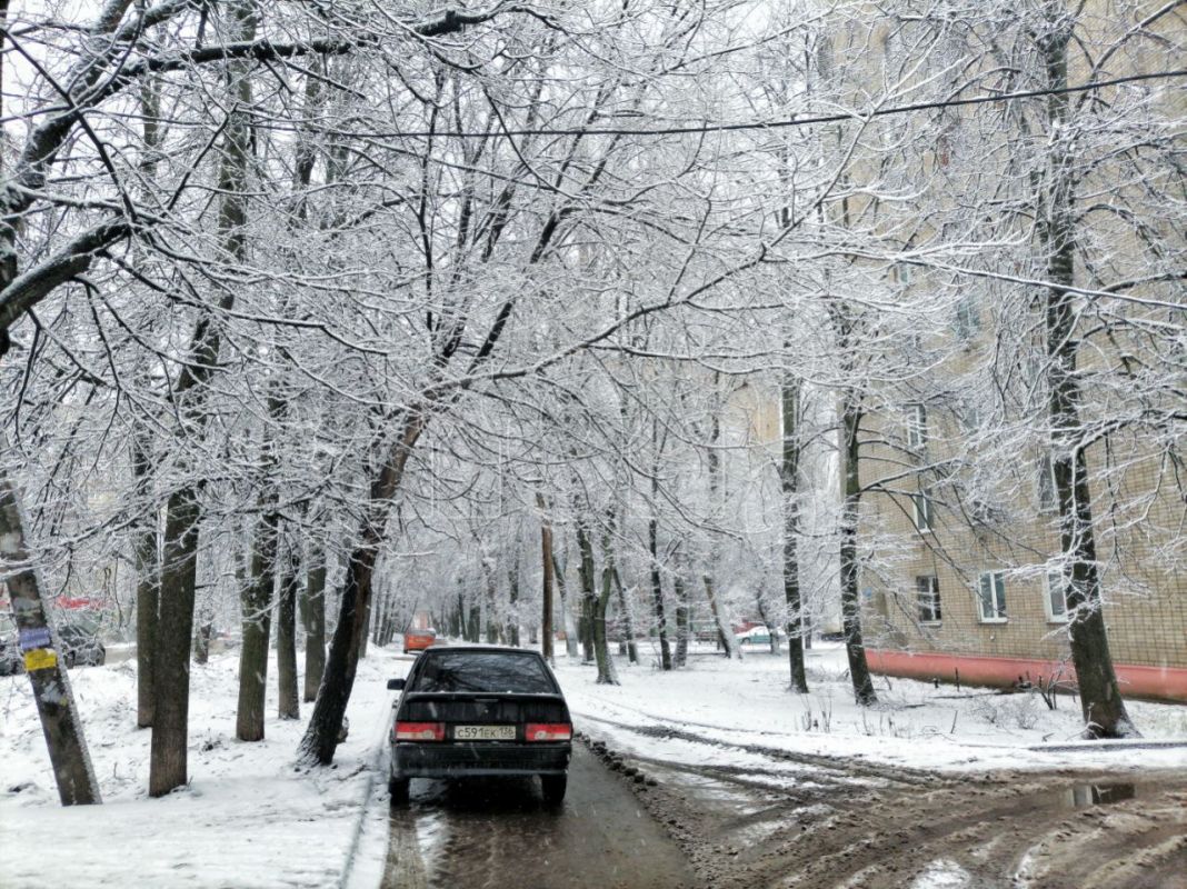 Синоптики рассказали, насколько в Воронеже задержится зимняя сказка
