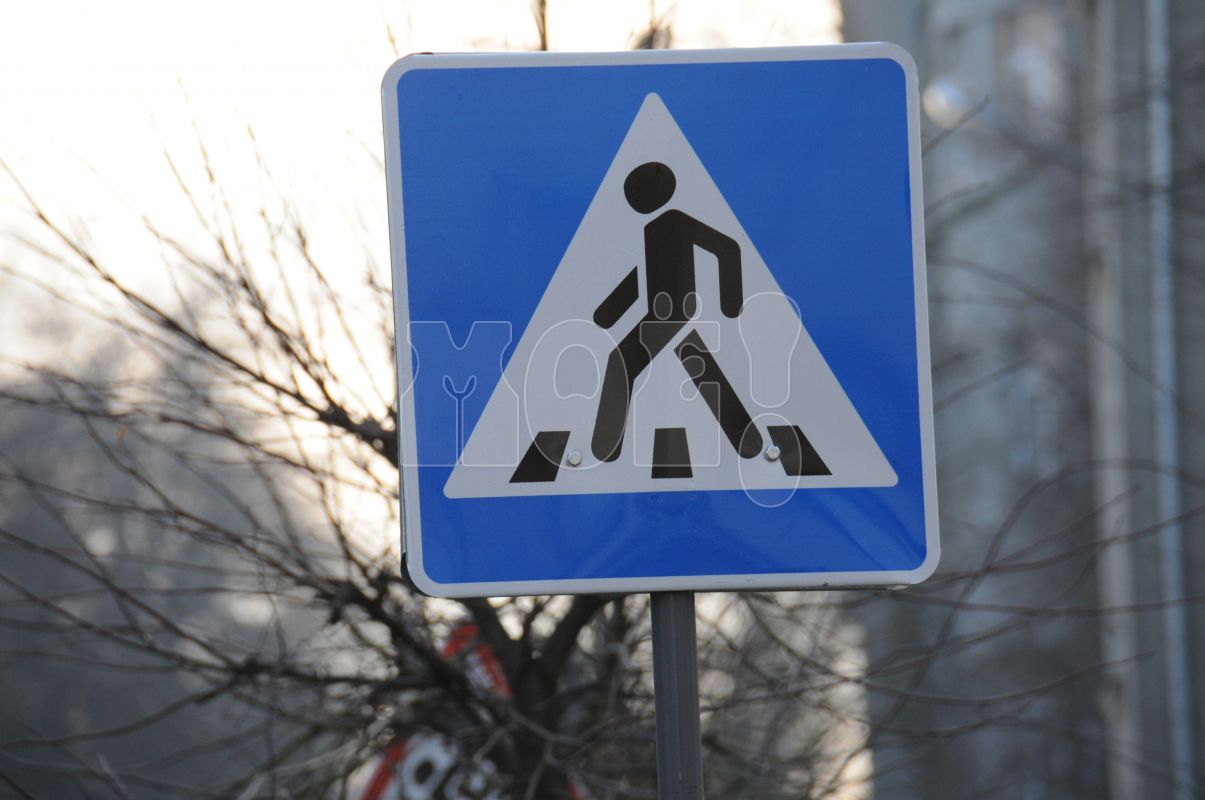 Воронежец отчитал парня с&nbsp;младенцем в&nbsp;коляске, перебегавшего дорогу на&nbsp;красный