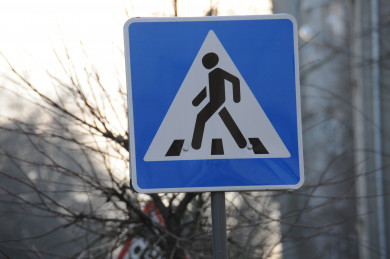 Воронежец отчитал парня с младенцем в коляске, перебегавшего дорогу на красный