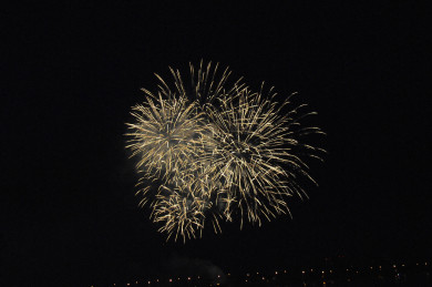 Шестой район Воронежской области отменил фейерверки на Новый год