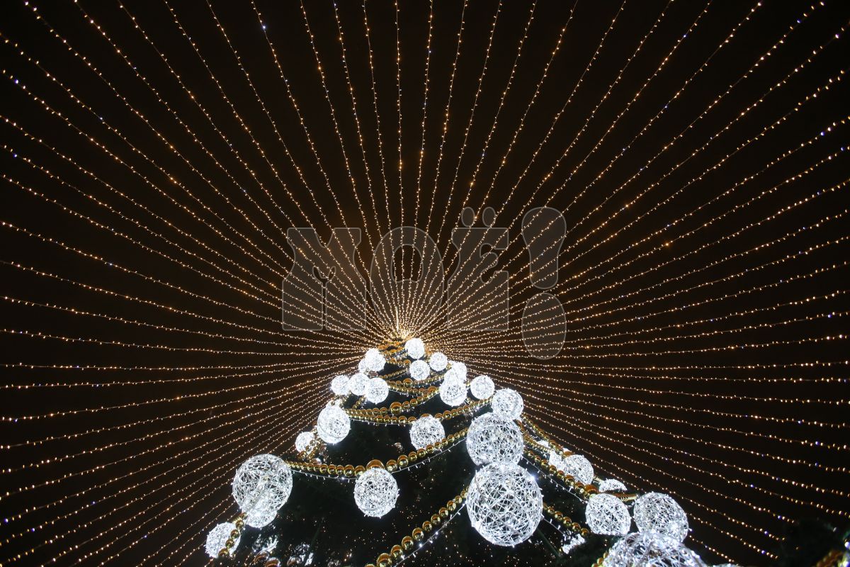 <p>Ёлка на площади Ленина</p>