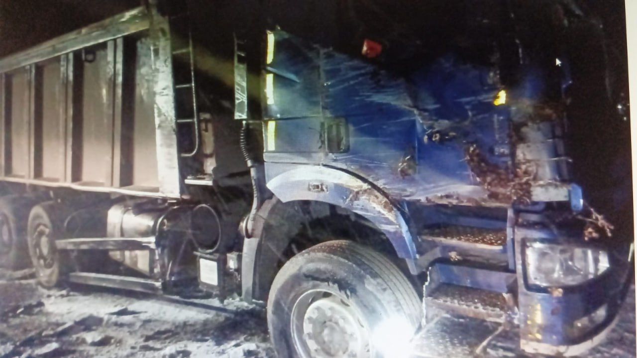 В Воронежской области грузовик вылетел в кювет и опрокинулся: 2 человека пострадали