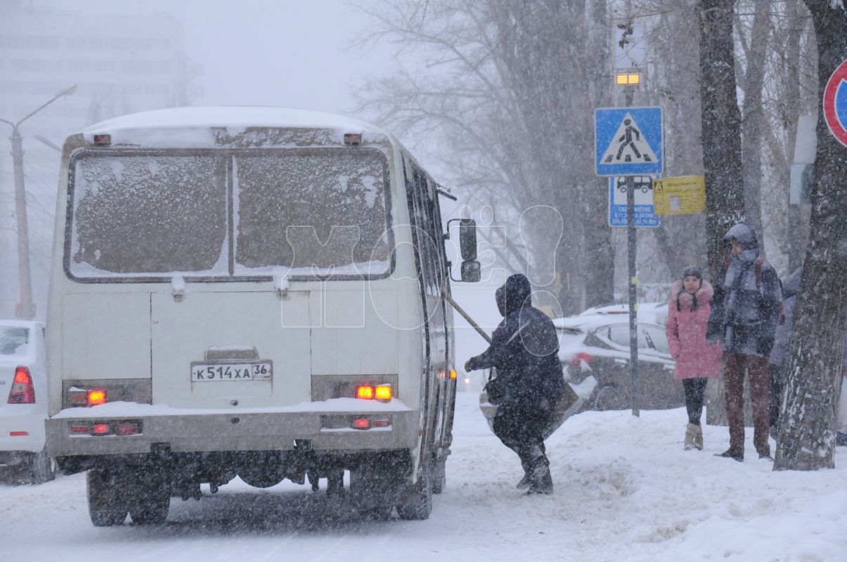 «Я думала, его больше нет». Редкий маршрут превратился в&nbsp;призрачный в&nbsp;Воронеже