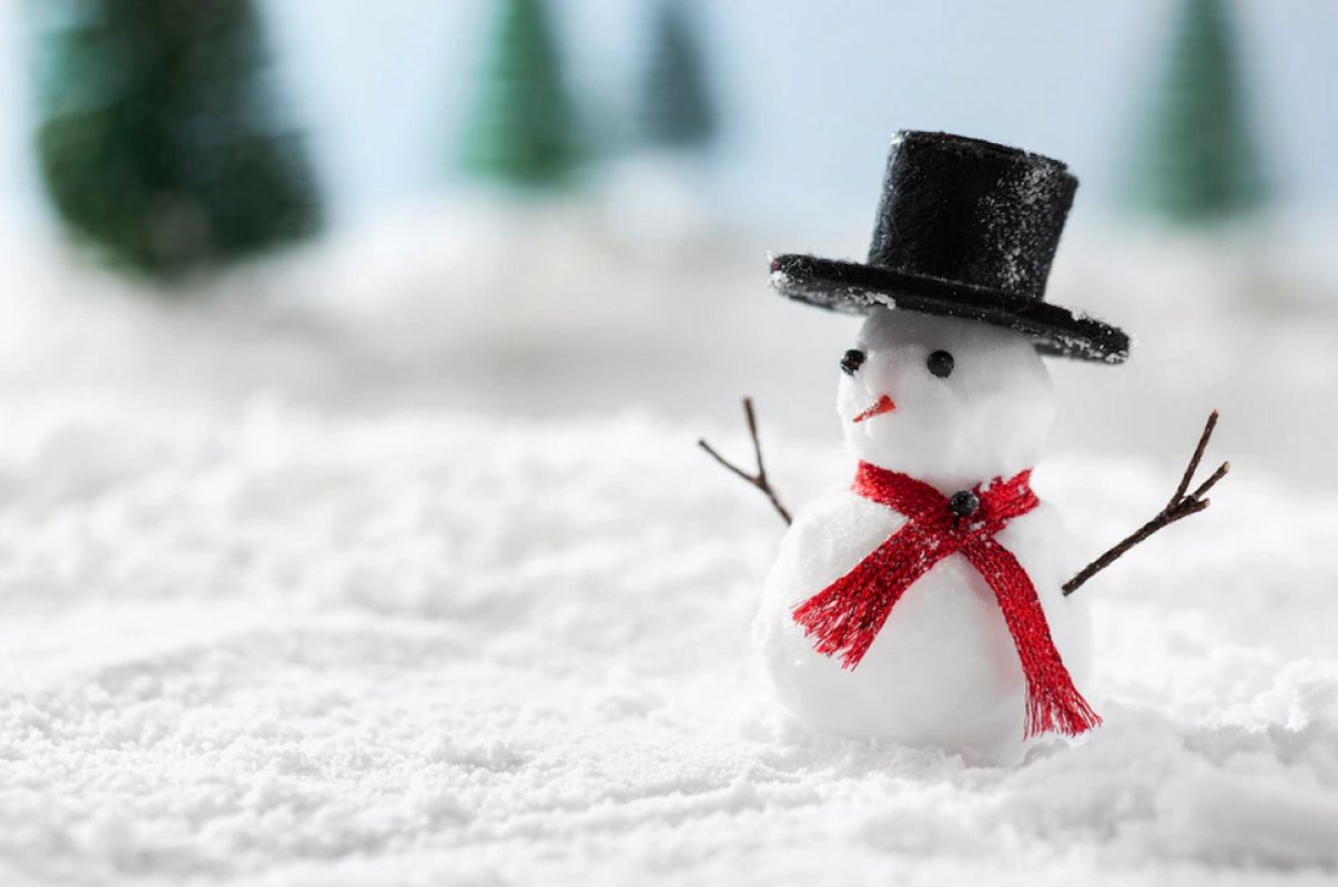 Алчный «Гринч» похитил снеговика из&nbsp;арматуры с&nbsp;воронежского предприятия