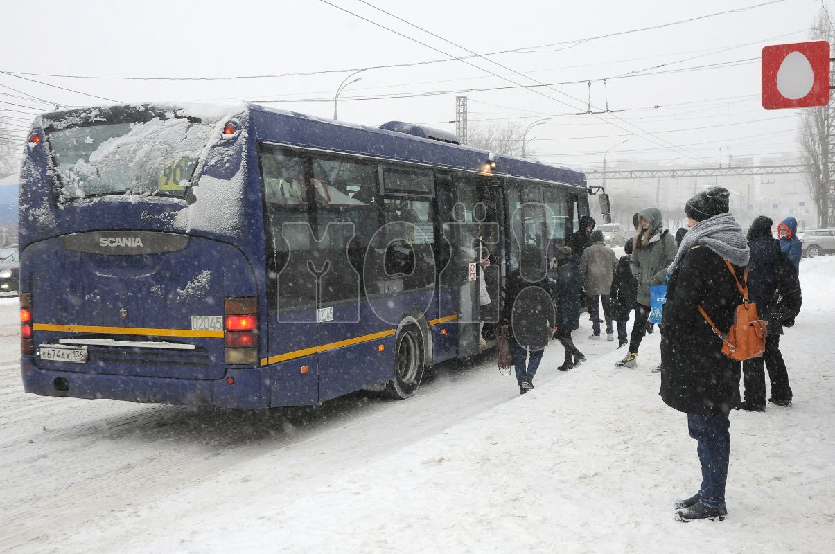 Воронежанка замерзает на&nbsp;остановке в&nbsp;ожидании автобусов популярных маршрутов