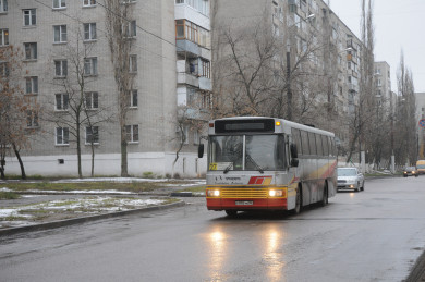 23 автобусных маршрута временно изменят в Воронеже