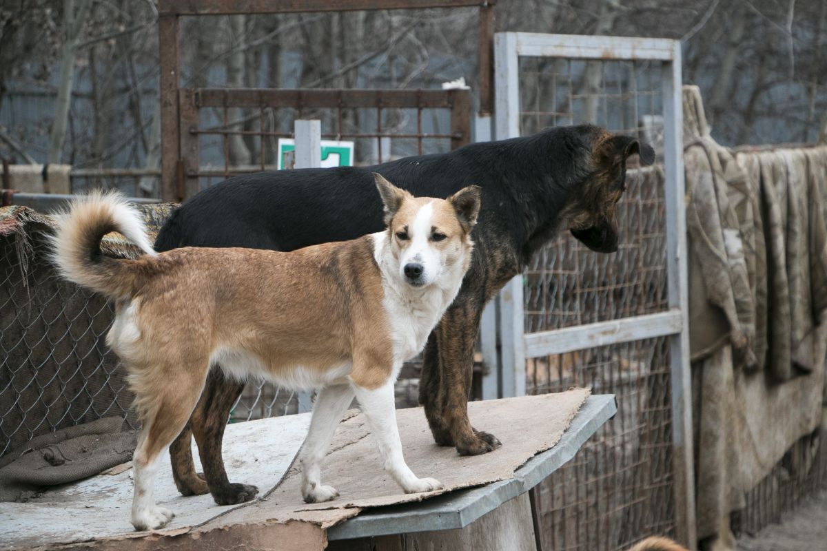 <p>Заставочное фото</p>