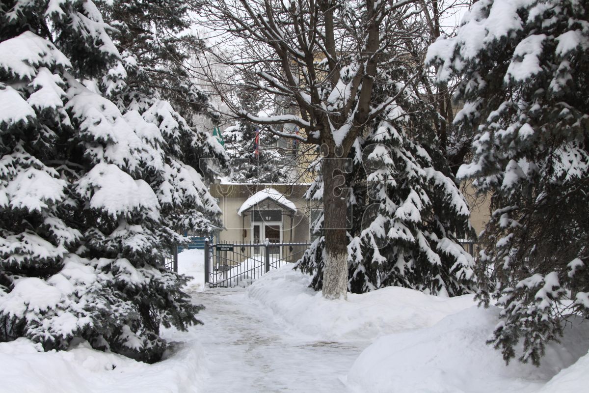 Пропавшего без&nbsp;вести парня с&nbsp;пирсингом ищут в&nbsp;Воронеже