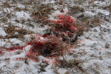 Соседи дезертира, убитого при задержании: «Он всё мечтал совершить подвиг»