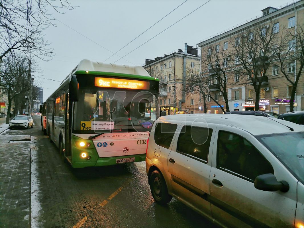 Перевозчика оштрафовали за&nbsp;незаконную установку цен в&nbsp;Воронеже