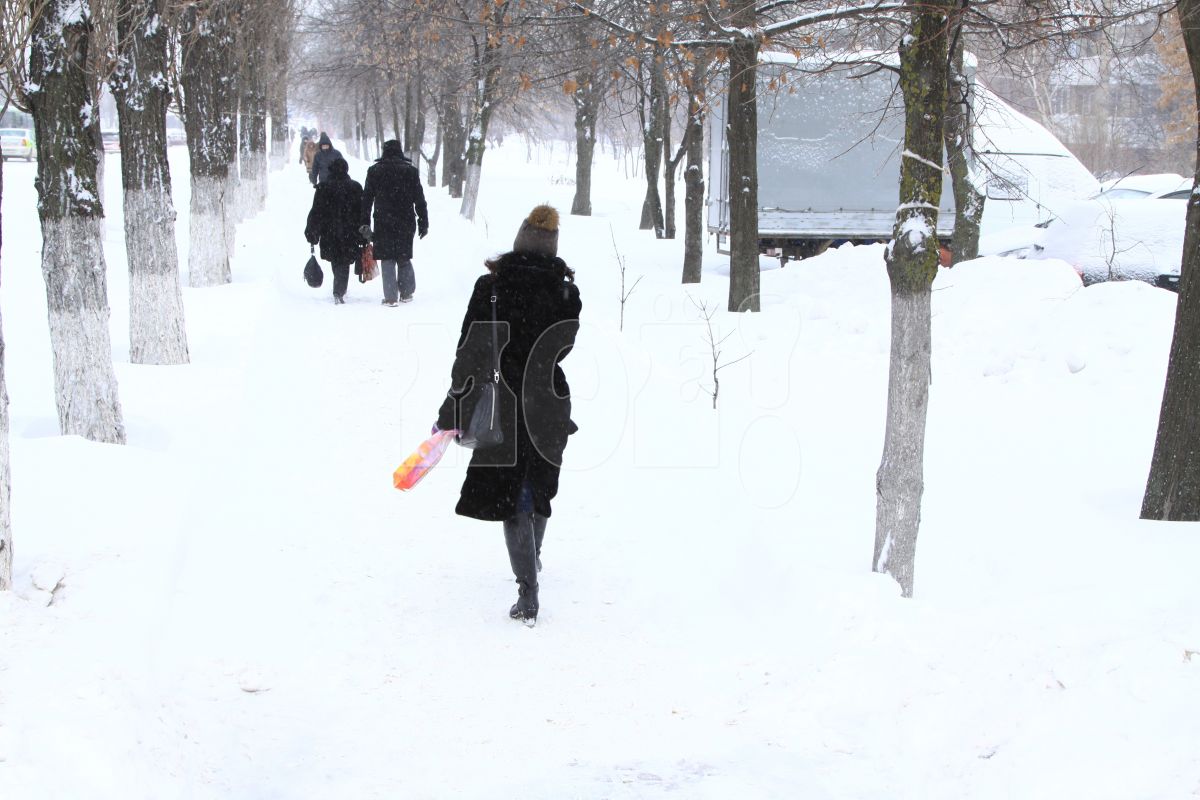 Морозы вернутся в Воронеж на рабочей неделе